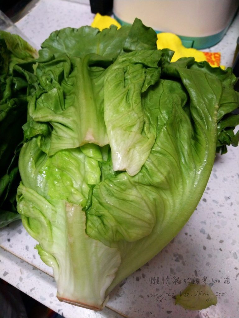 hktvmall 買的唐生菜