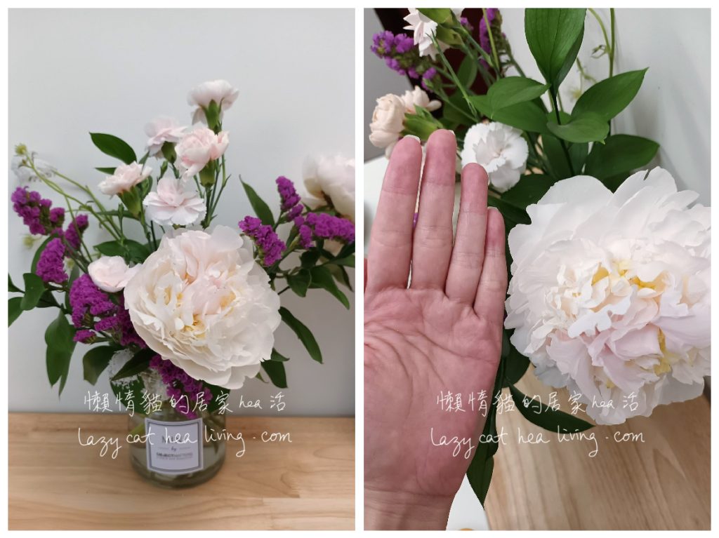 母親節桌花day4 (牡丹盛開)